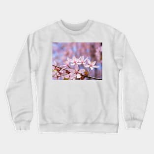 Cherry Blossom Crewneck Sweatshirt